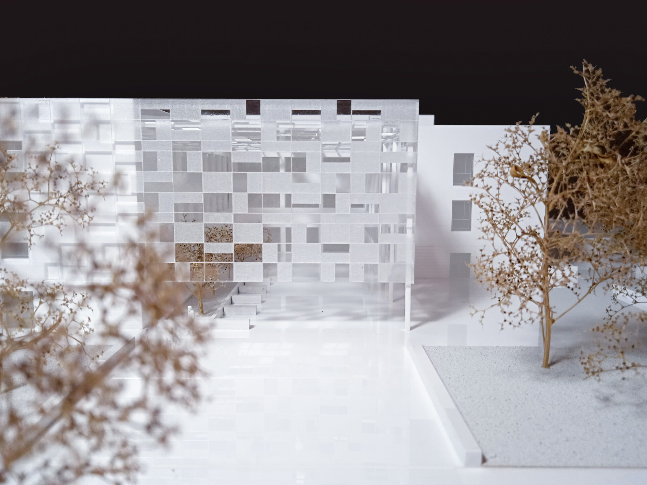 INSTITUTO DE INVESTIGACIÓN  |  C+G TÉCNICA